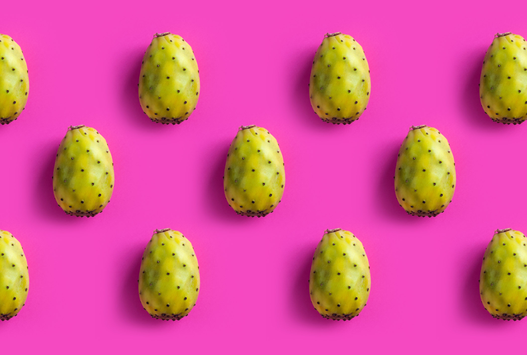 Prickly Pear fruits on a neon pink background